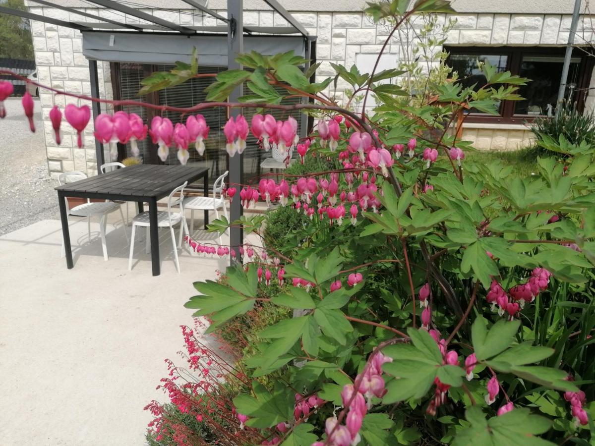 Apartments Bukor With Seasonal Pool Lukovica pri Domzalah Exterior foto